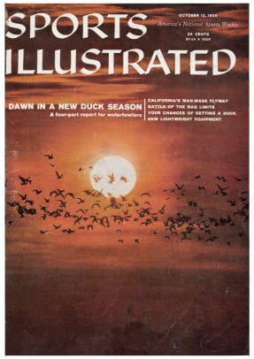 42496 - Cover Image